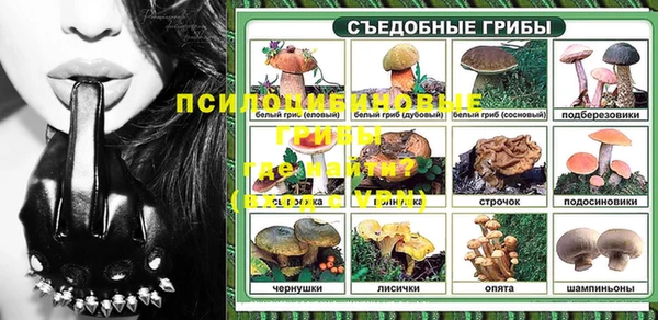 молекула духа Вуктыл