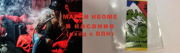 прущие грибы Сосновоборск