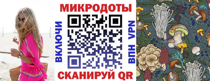 хочу наркоту  Шлиссельбург  Псилоцибиновые грибы Cubensis 
